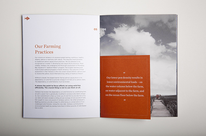 verlassoVerlasso Sustainability Brochure #print #grid #spread #type #layout #brochure